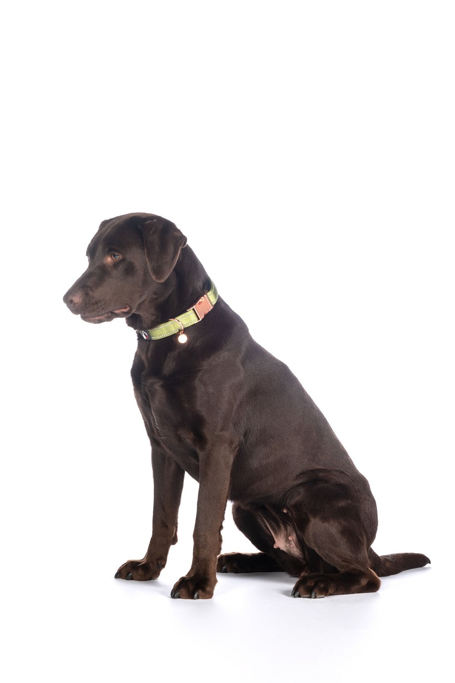 HKM Hundehalsband "Ida" Nylon,pistazie, S/M,Sale