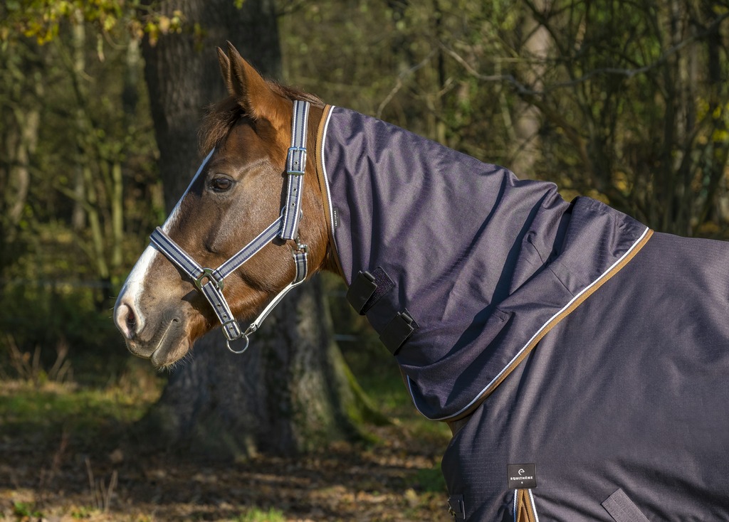 EQUITHÈME TYREX 600D "Aisance" Halsteil, grau/braun, 200g Füllung