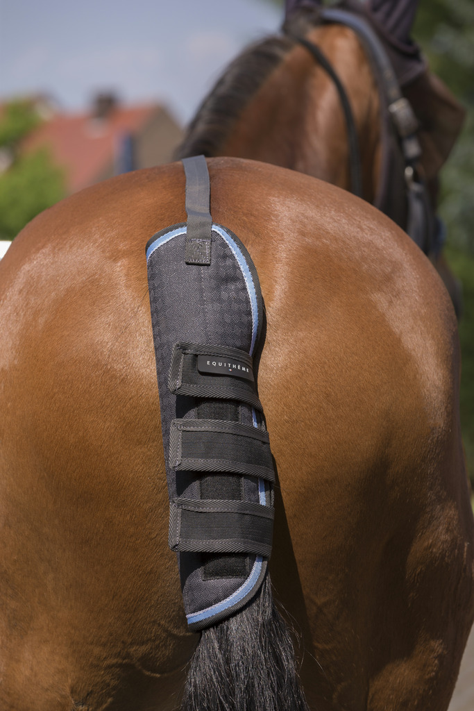 EQUITHÈME "TYREX 1200D" 8000/8000 Schweifschoner, grau/blau, Warmblut