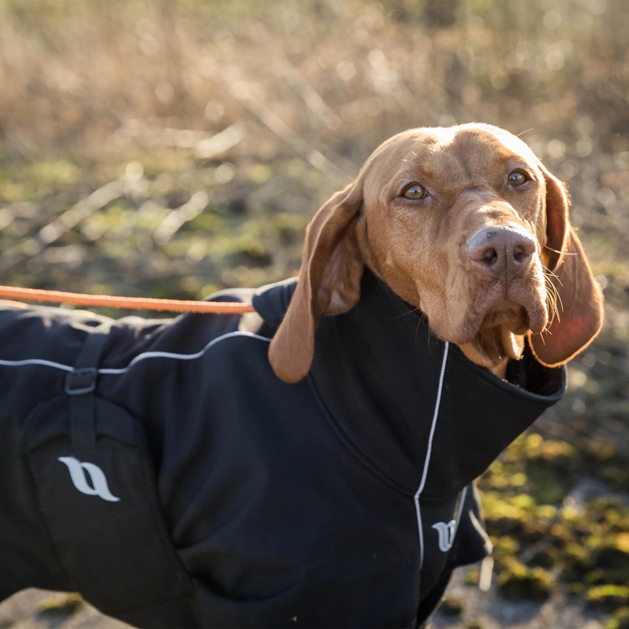 Back on Track Hundemantel Nella, schwarz