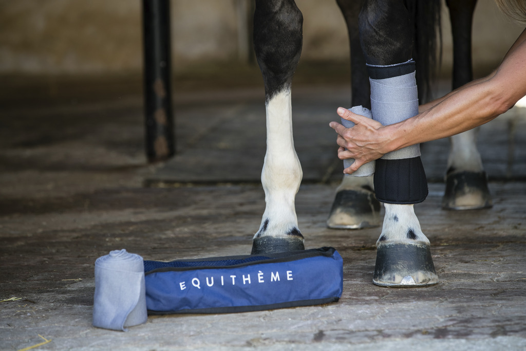 EQUITHÈME Ruhebandagen, 4 m
