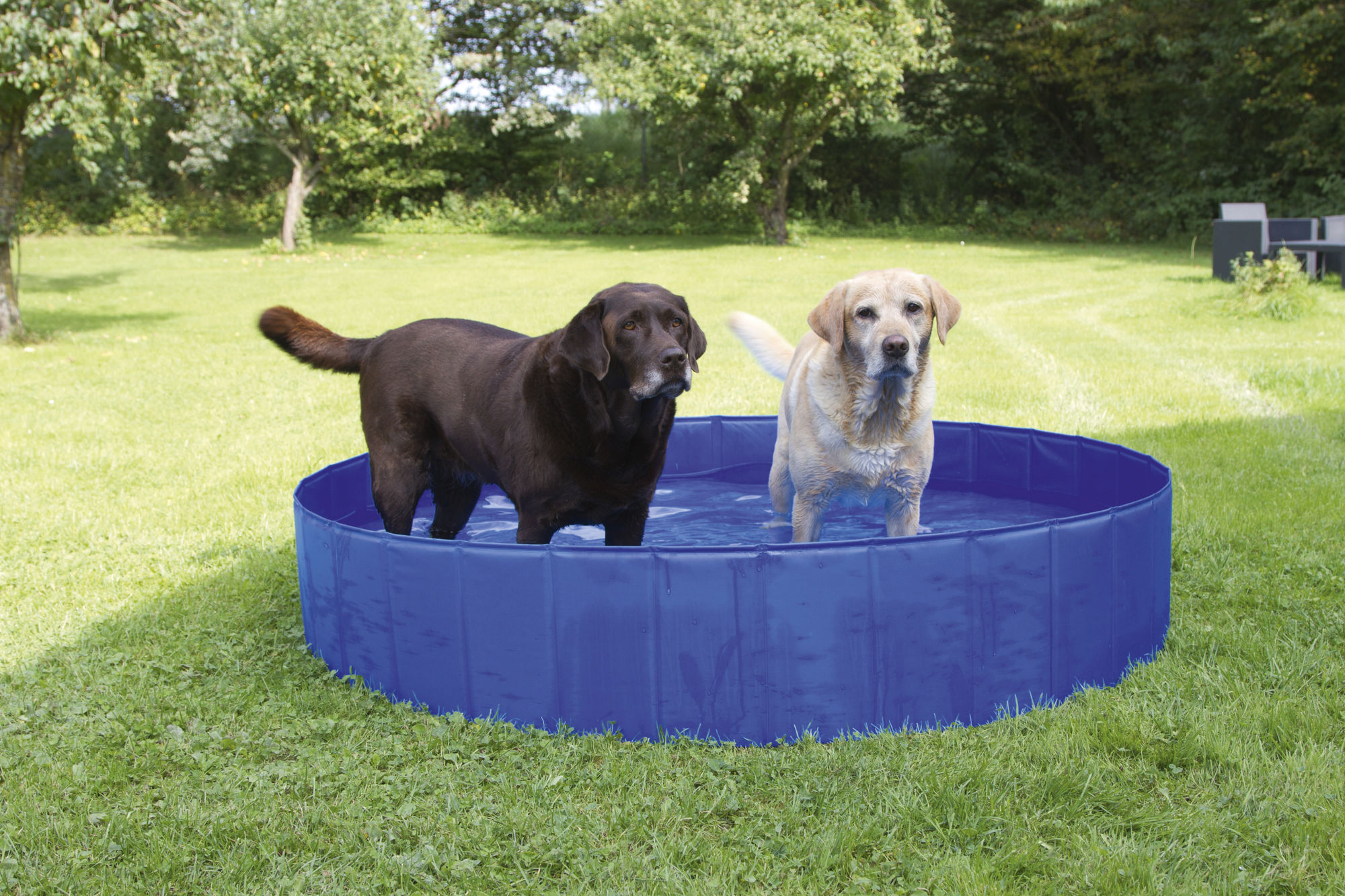 Kerbl Hundepool, blau