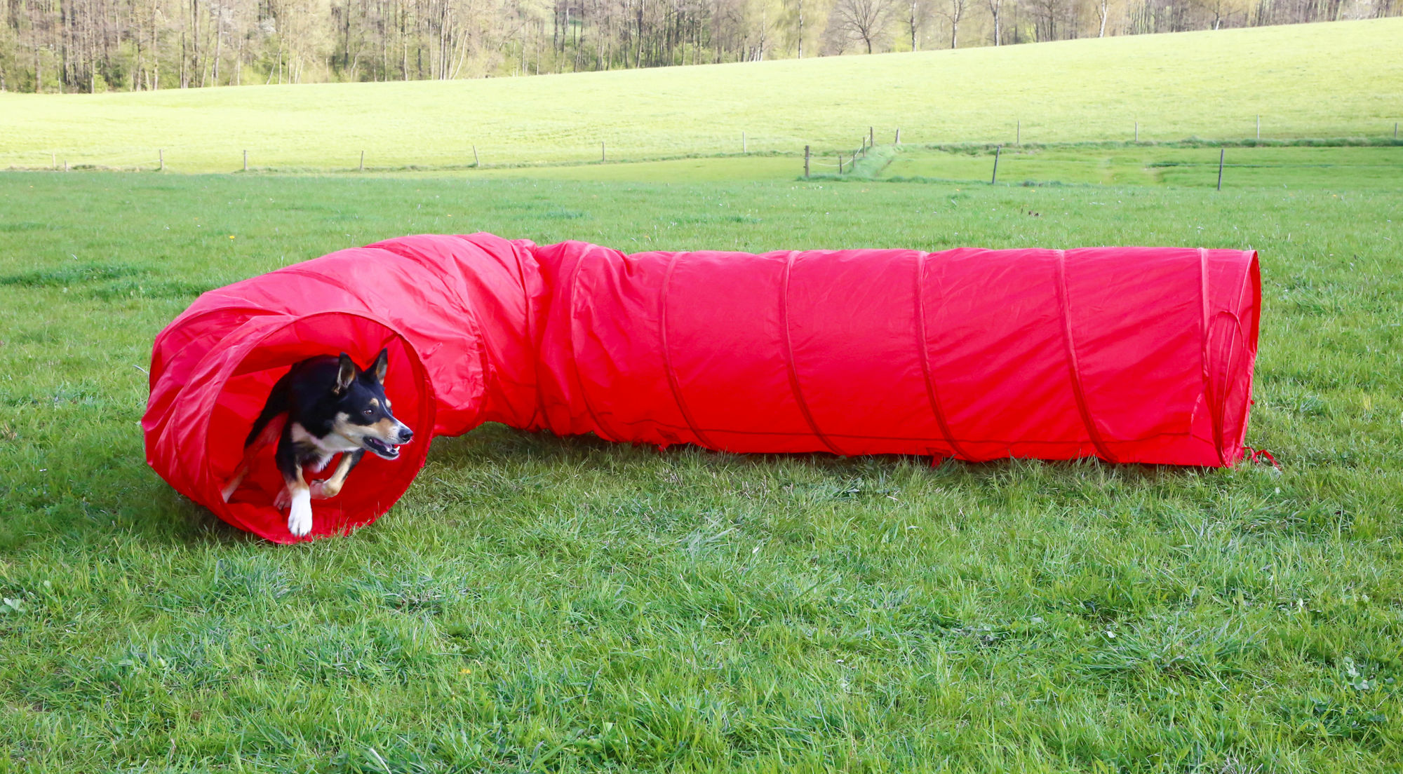 Kerbl Hundetunnel "Agility", rot, 5 m lang, 60 cm Durchmesser