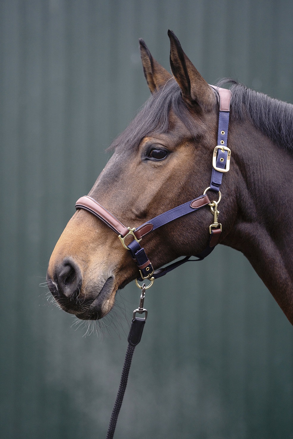 Halfter "Luna", Leder-Nylonkombination