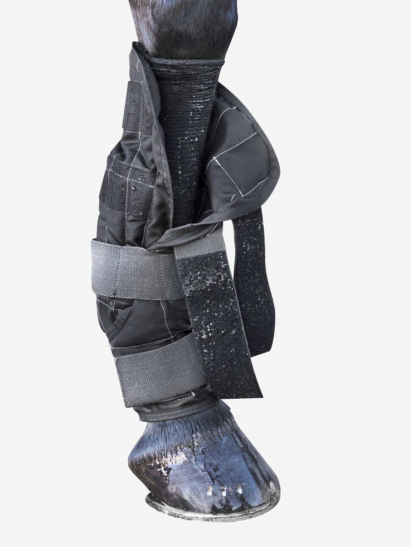 LeMieux Cold Water Boots, Kühlgamaschen, schwarz