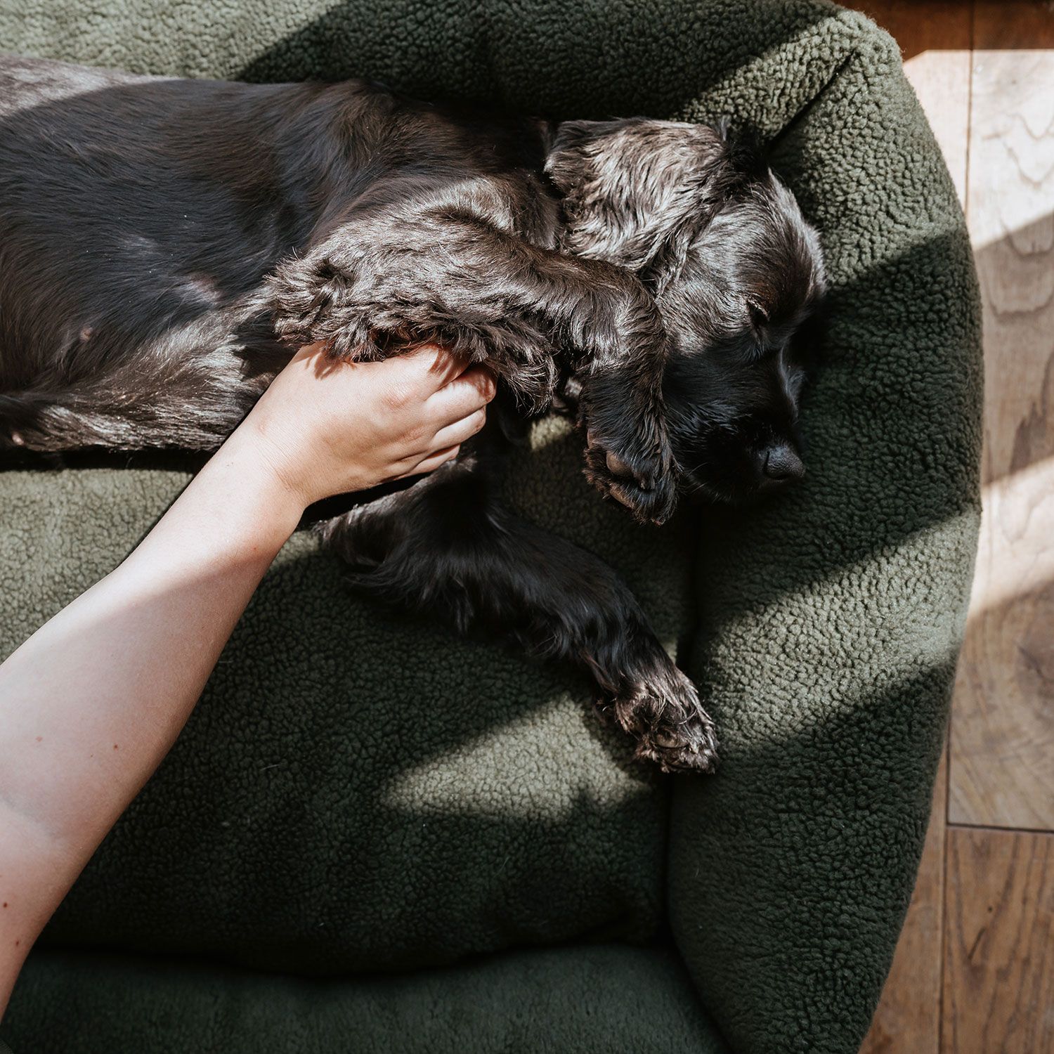Hunter Hundesofa Kumara