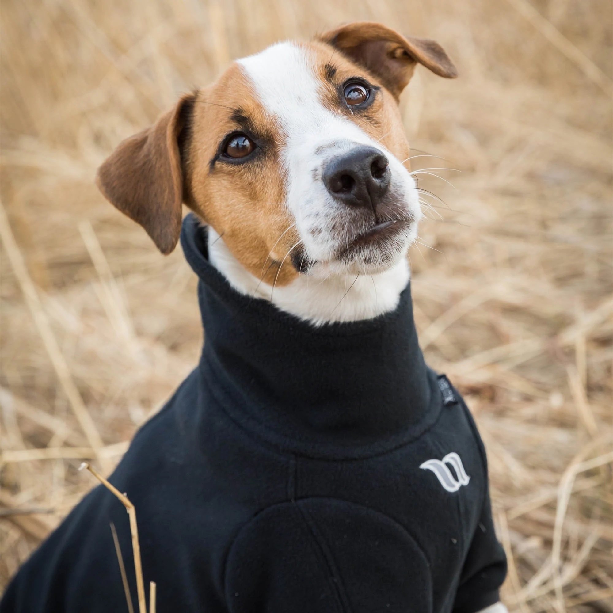 Back on Track Allwetter Hundepullover Cassie, schwarz, Fleece
