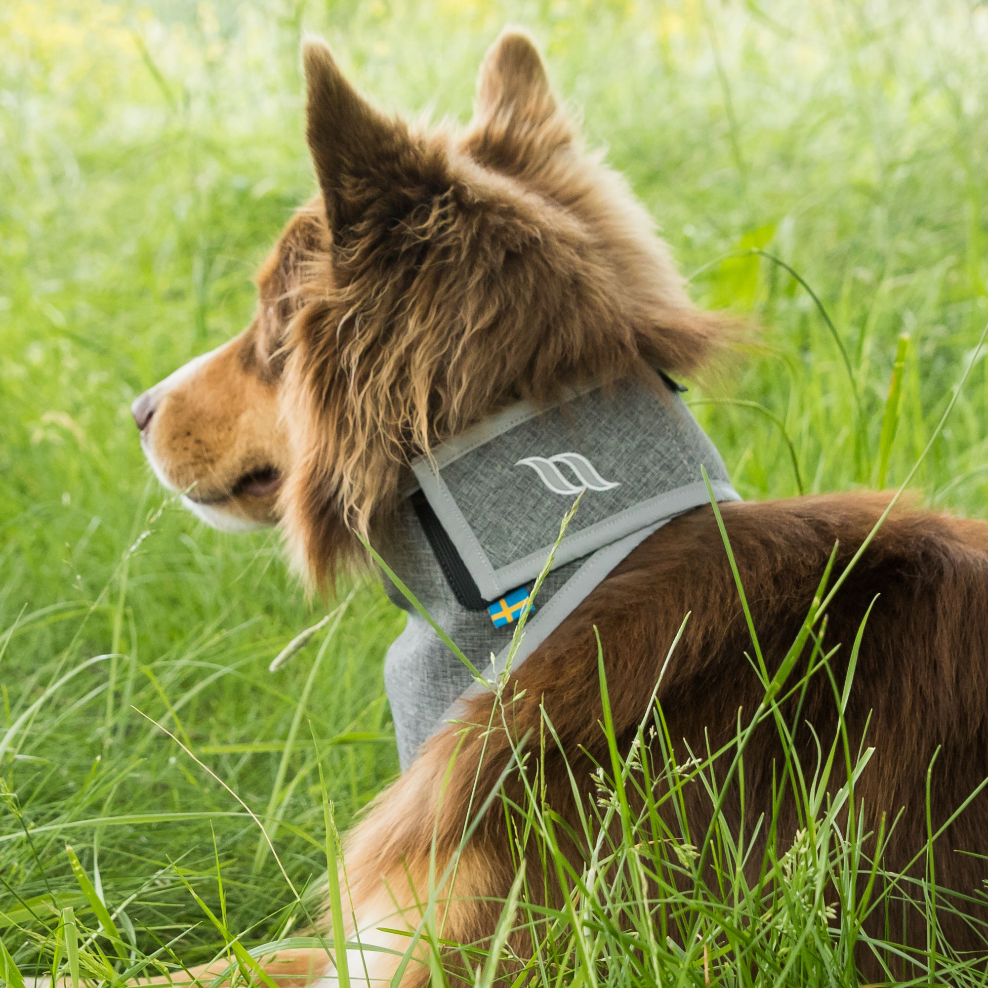 Back on Track Draco Bandana mit Reflektoren