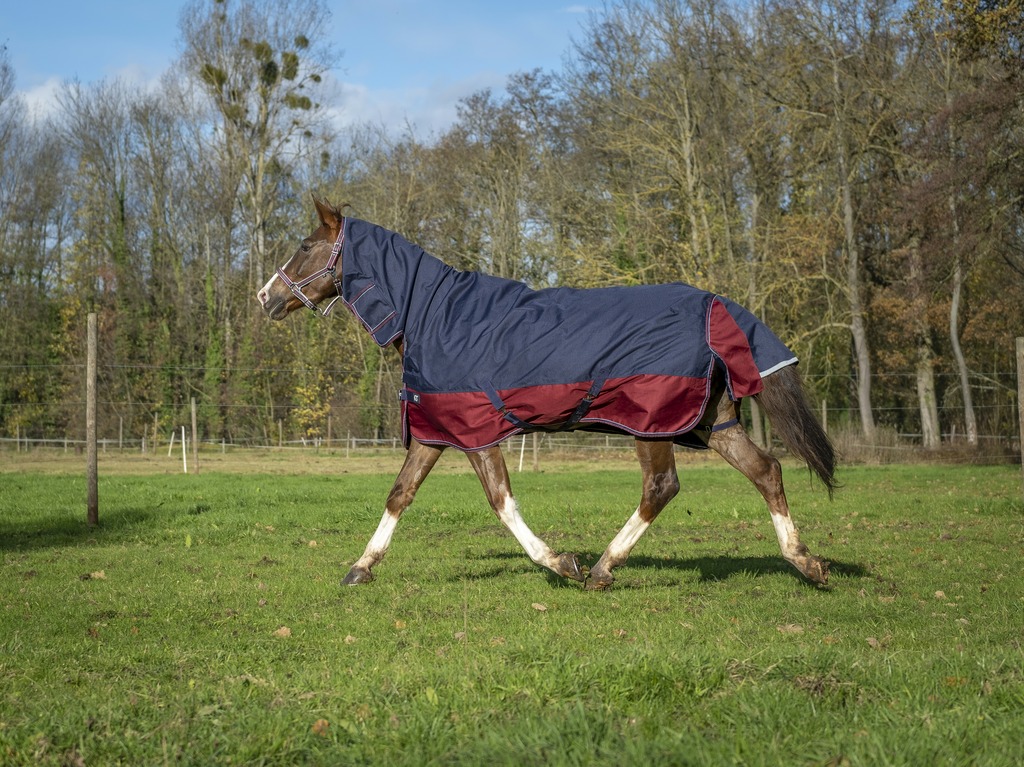 EQUITHÈME "TYREX 1200D" Combo Decke, 200g Füllung, marineblau/bordeaux, Weidedecke, Pferdedecke