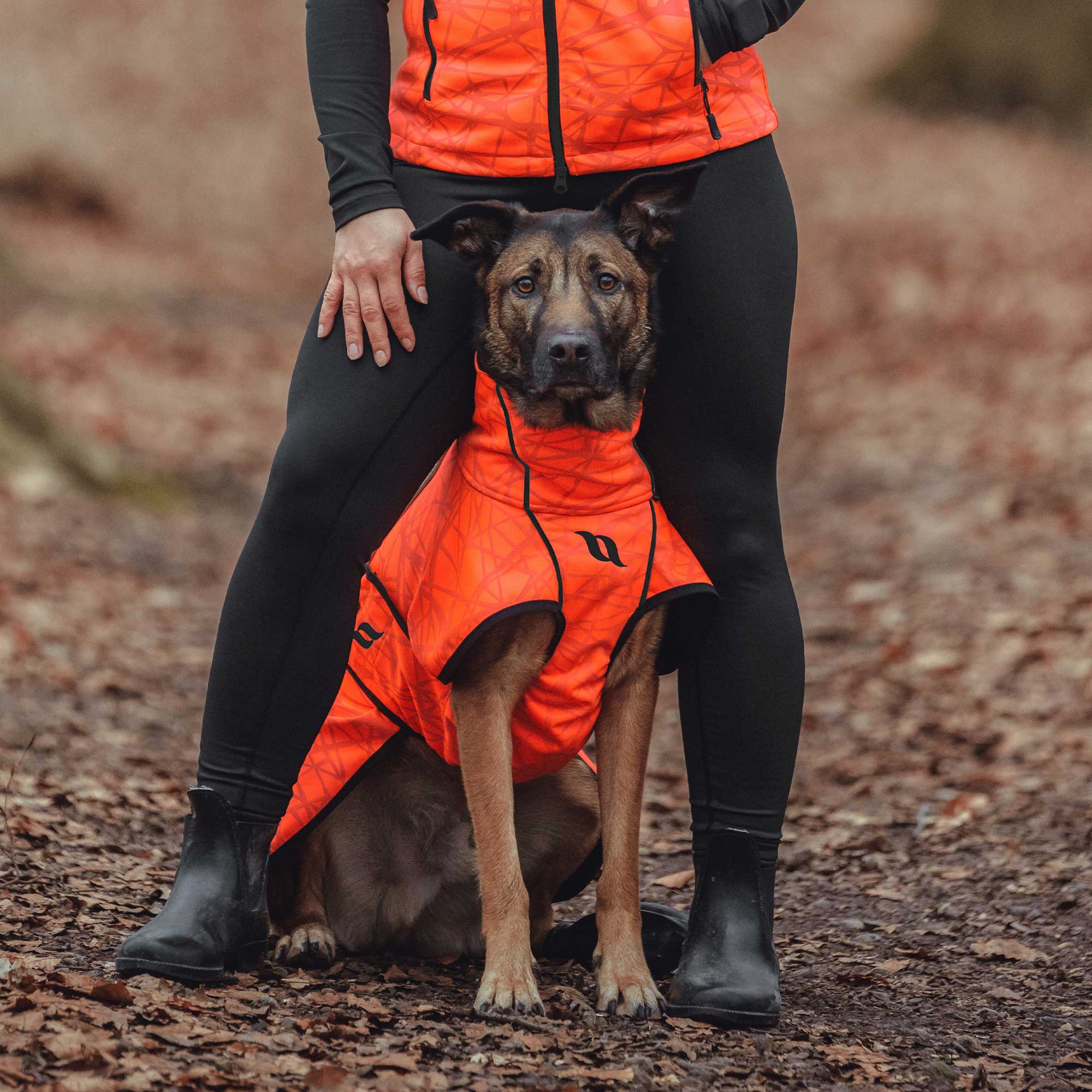 Back on Track Hundemantel Bark, orange, Allwetter Mantel
