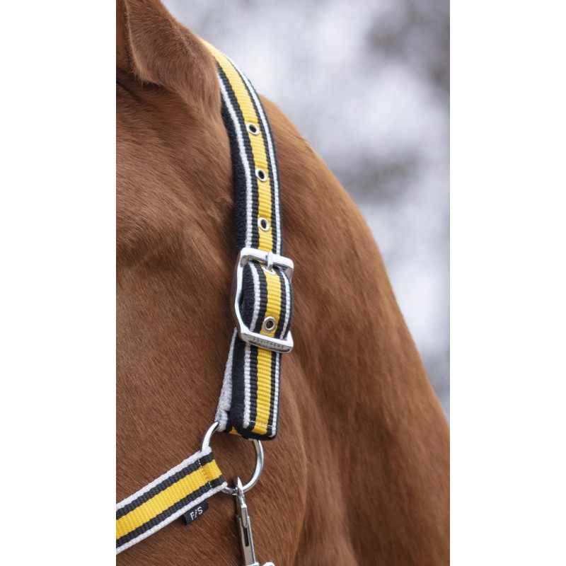 EQUITHÈME "Ligne" Halfter