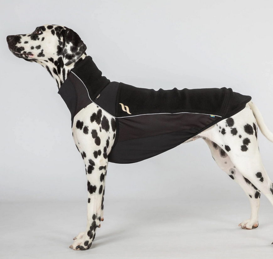 Back on Track Hundefleecepullover Eddie, schwarz