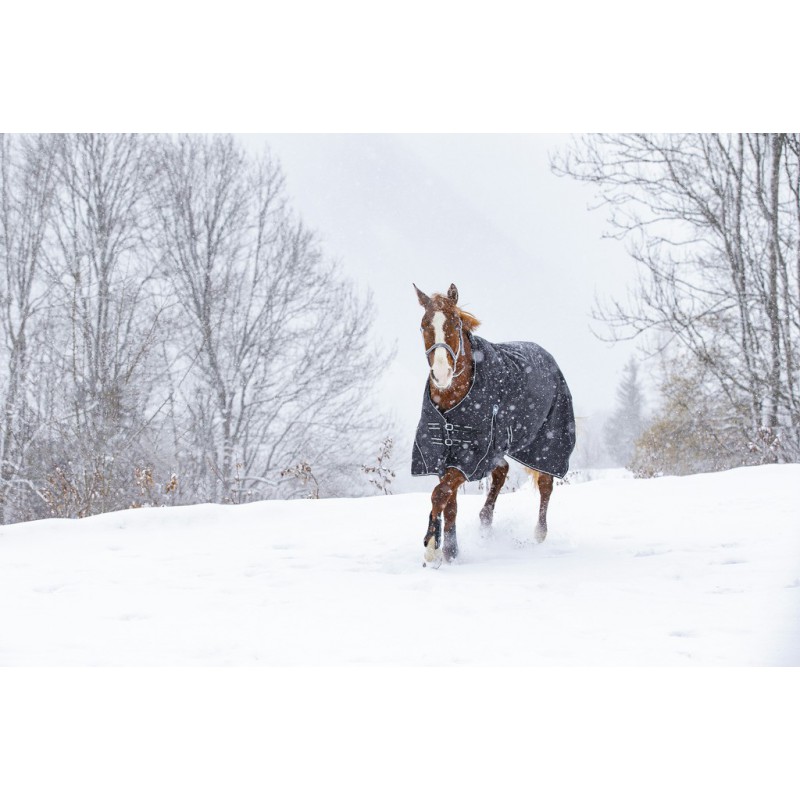 RIDING WORLD "Oxford", wasserdichte Decke mit Polarfleece-Futter, Pferdedecke, schwarz