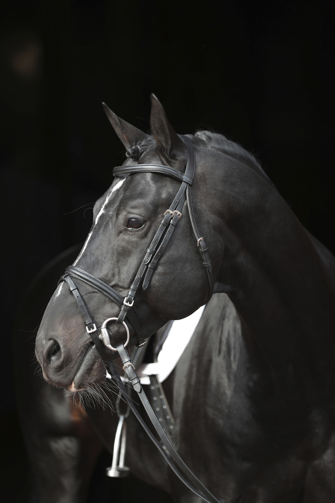 Covalliero Trensenzaum Standard, Leder, schwarz