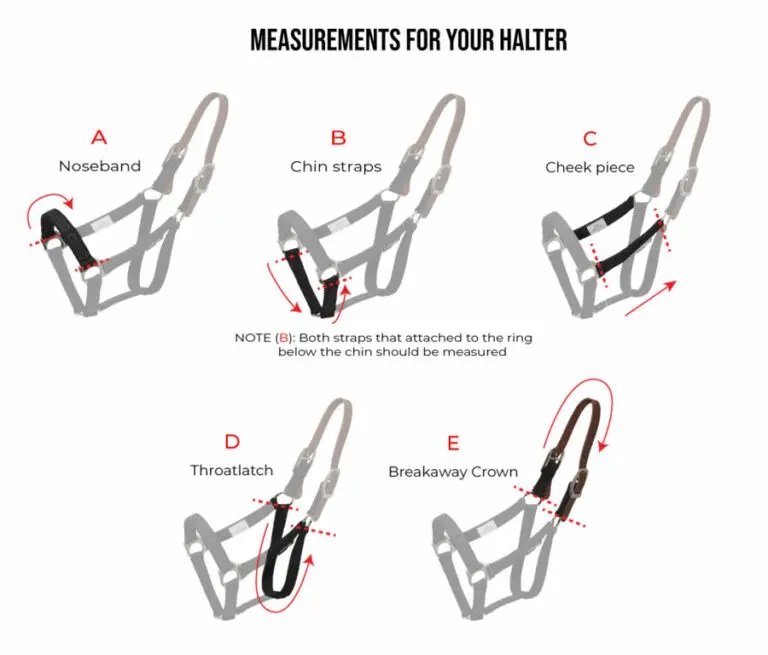 ThinLine Flexibles Breakaway Halfter, Weidehalfter, Stallhalfter
