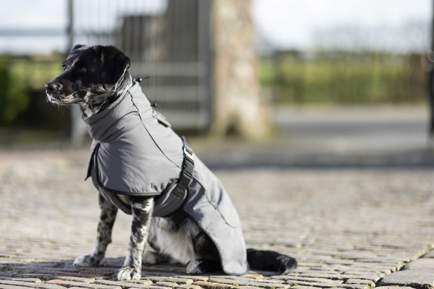 HKM Hundemantel "Buddy" dunkelgrau mit Fleecefutter,XL,Sale