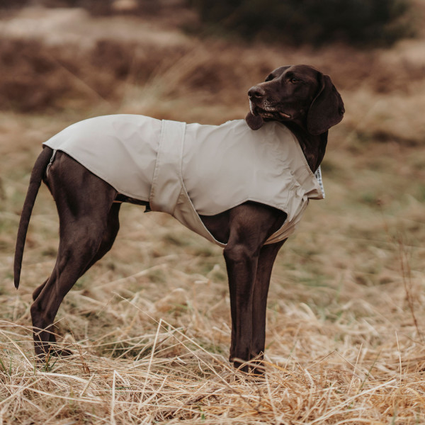 Hunter Hunde-Regenmantel Milford
