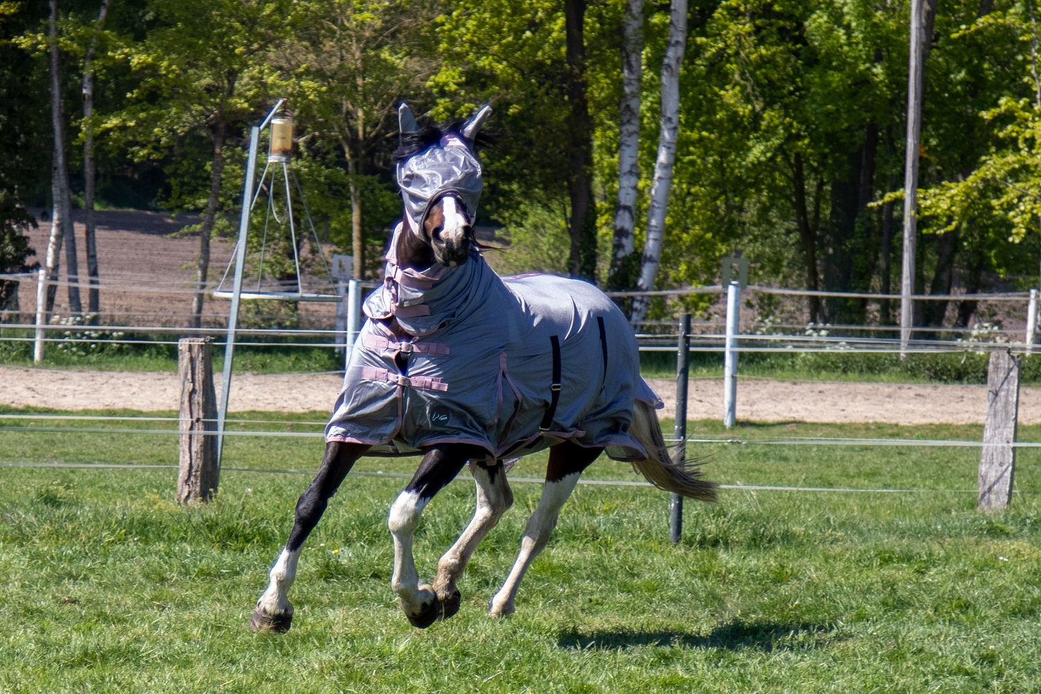 Fliegendecke "Grey", mit Halsteil, grau