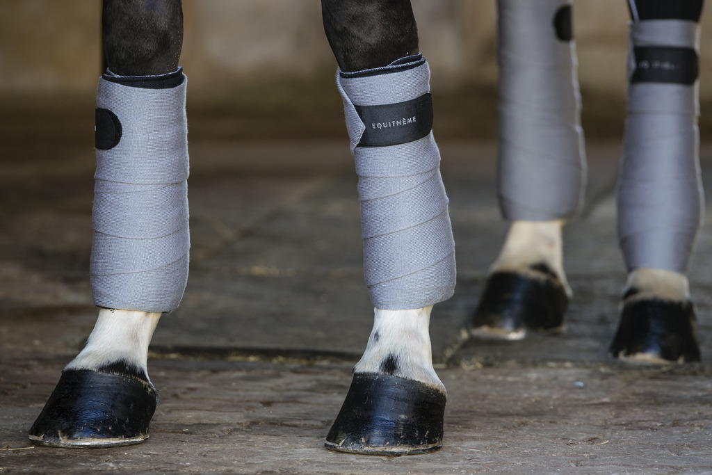 EQUITHÈME Ruhebandagen, 4 m