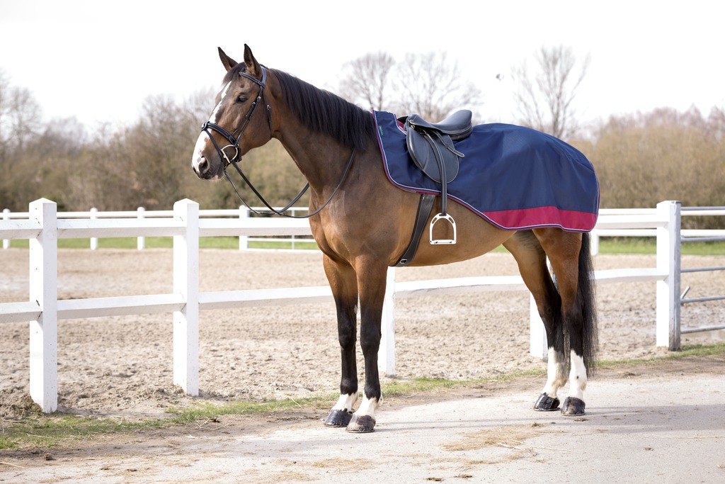 EQUITHÈME "TYREX 1200D", Nierendecke, marineblau/bordeaux, anti-pilling Polarfleece, Ausreitdecke