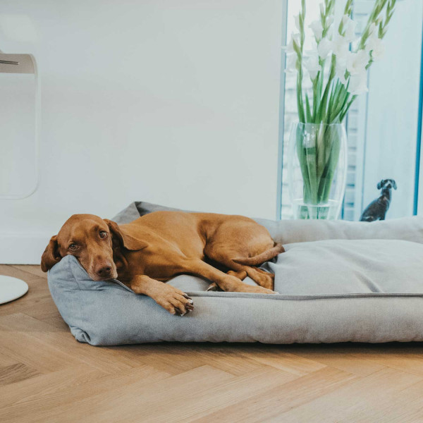 Hunter Hundesofa Eiby