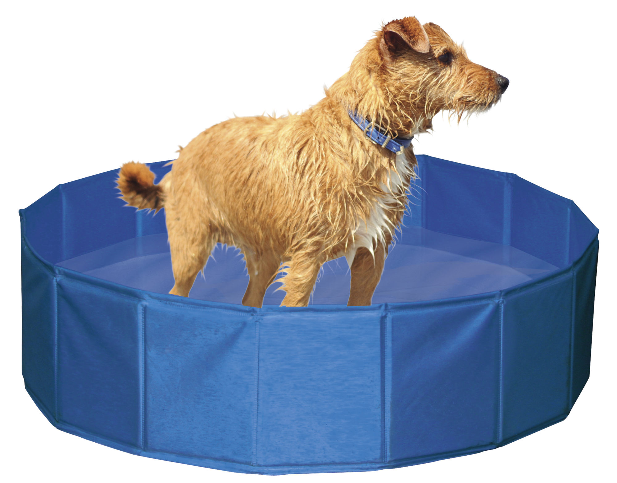 Kerbl Hundepool, blau