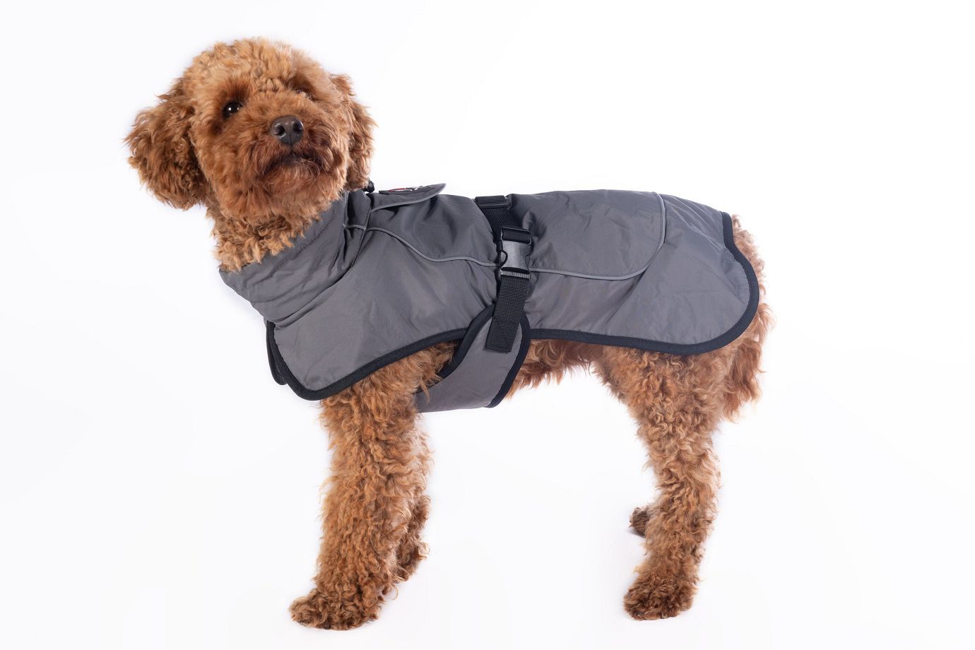 HKM Hundemantel "Buddy" dunkelgrau mit Fleecefutter,XL,Sale