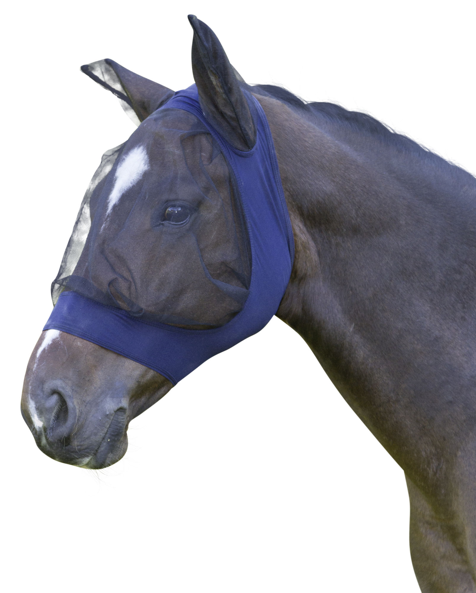Covalliero Fliegenschutzmaske FinoStrech, blau