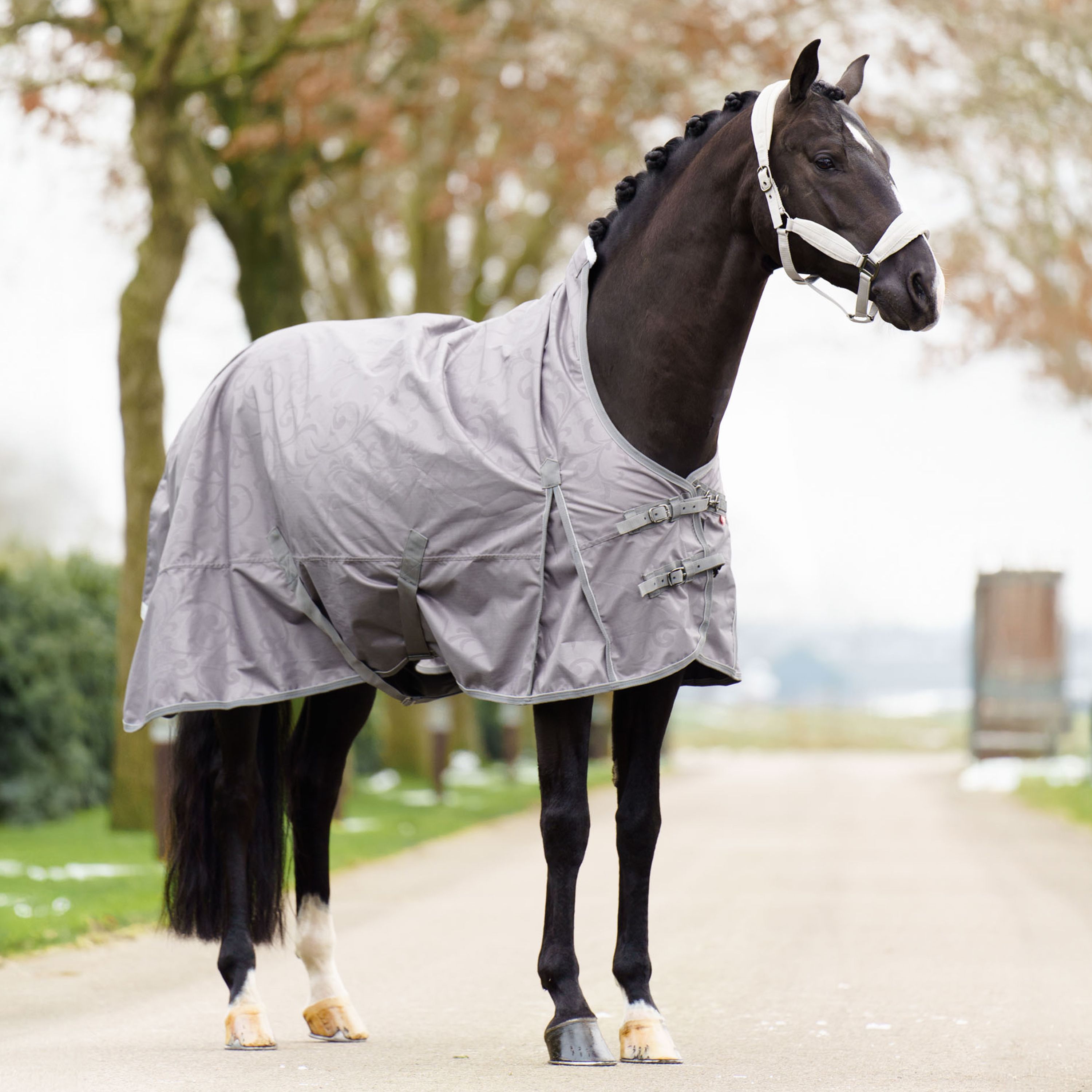 Imperial Riding Outdoordecke IRHSuper-dry 50gr, 600D forrest green & black