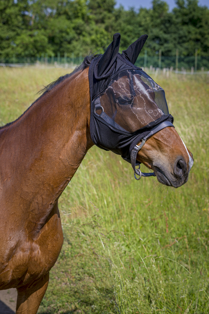 EQUITHÈME "Coux" Antifliegenmaske