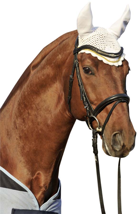 Fliegenhaube