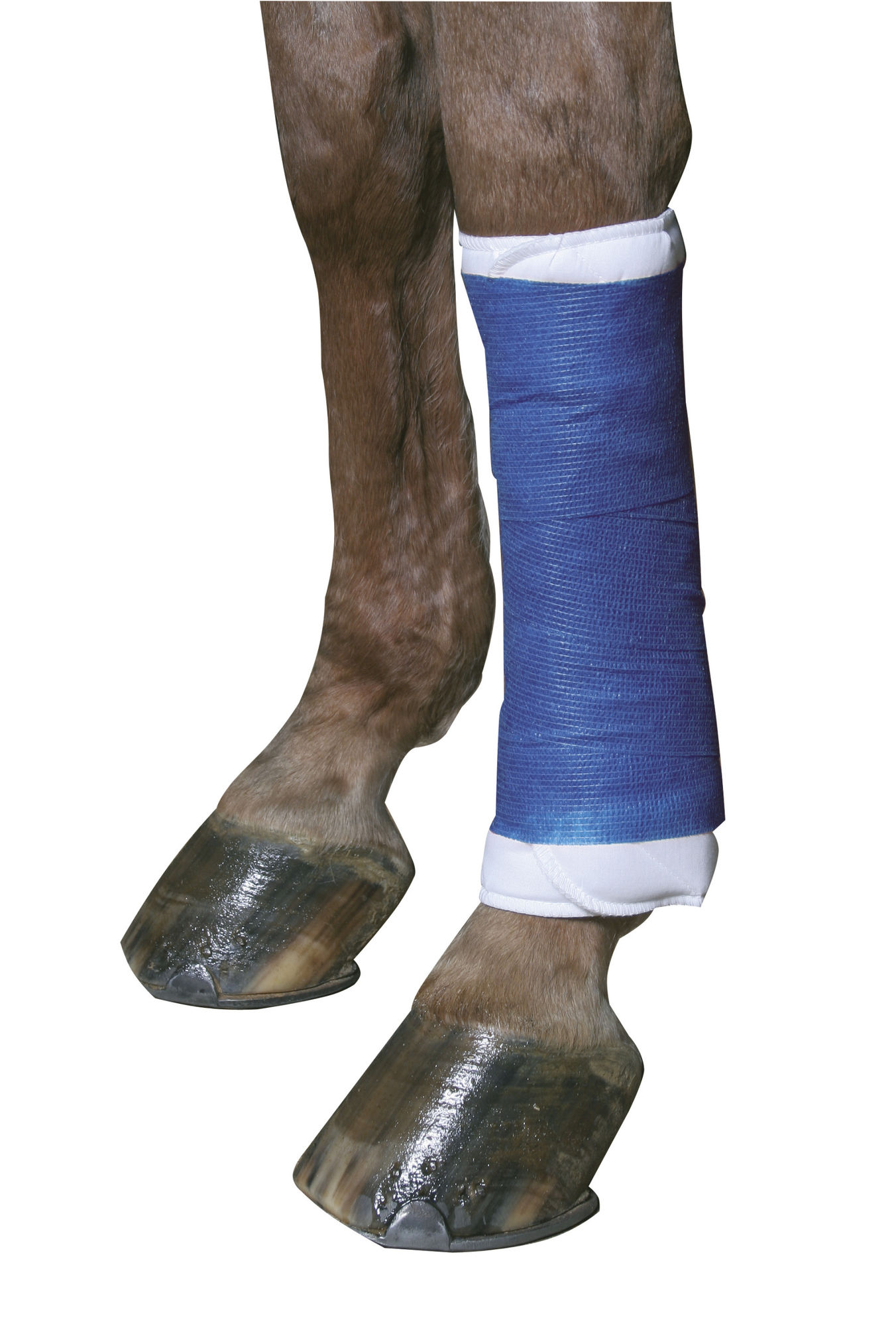 EquiLastic Selbsthaftende Bandagen