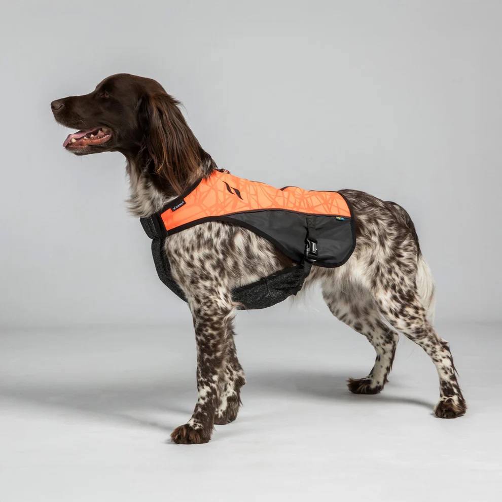 Back on Track Hunde-Brustschutzweste TRAKK