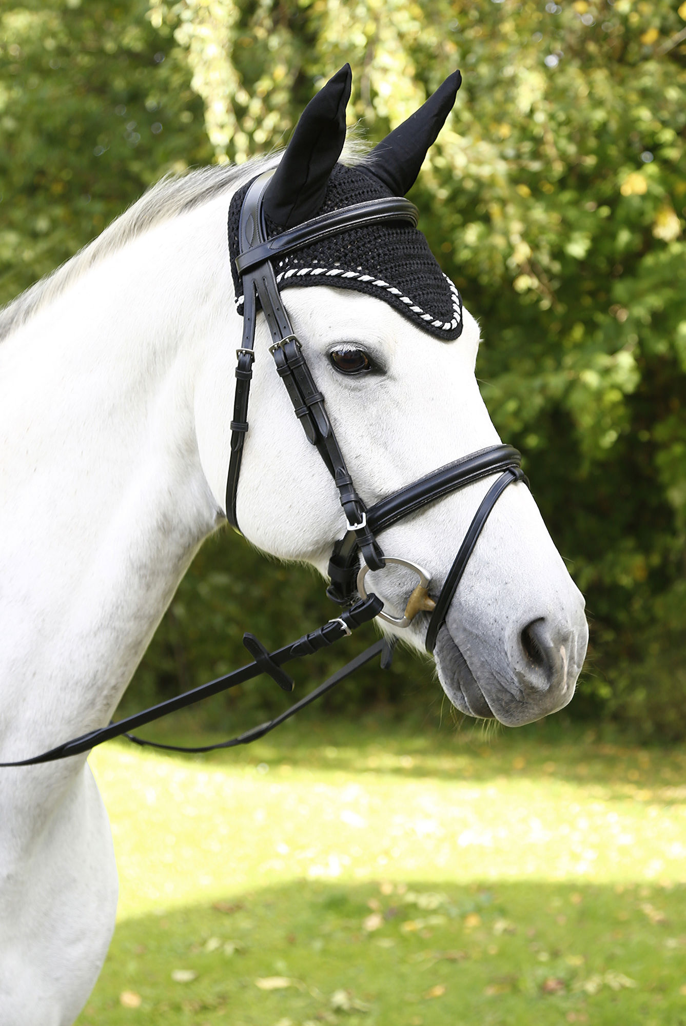 Covalliero Fliegenhaube Classic, Full