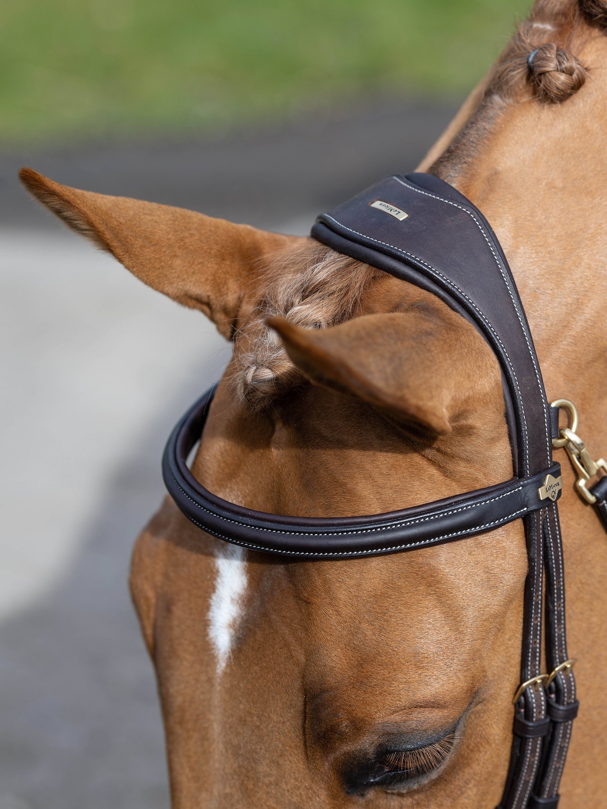 LeMieux Work Bridle, Arbeitstrense, Trense
