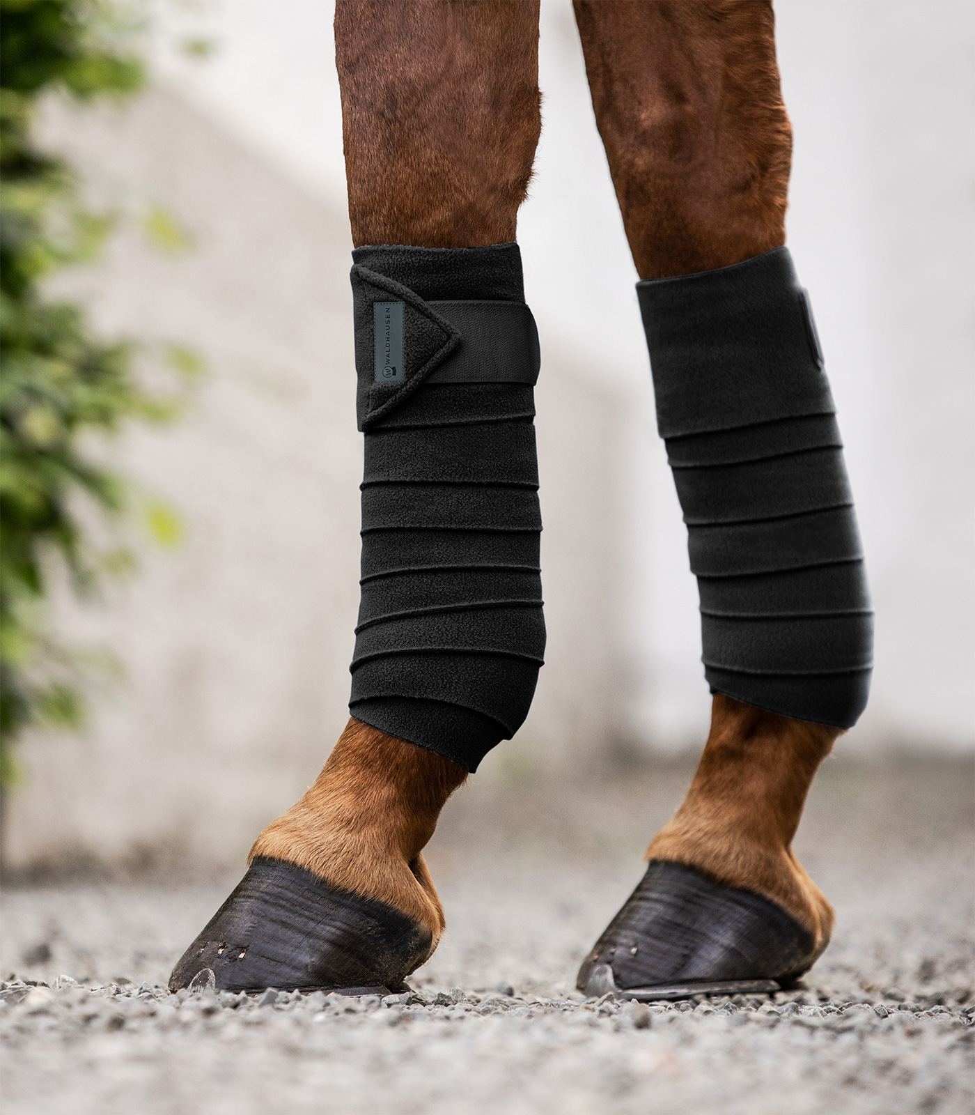 Waldhausen Fleecebandage Basic, 4er Set