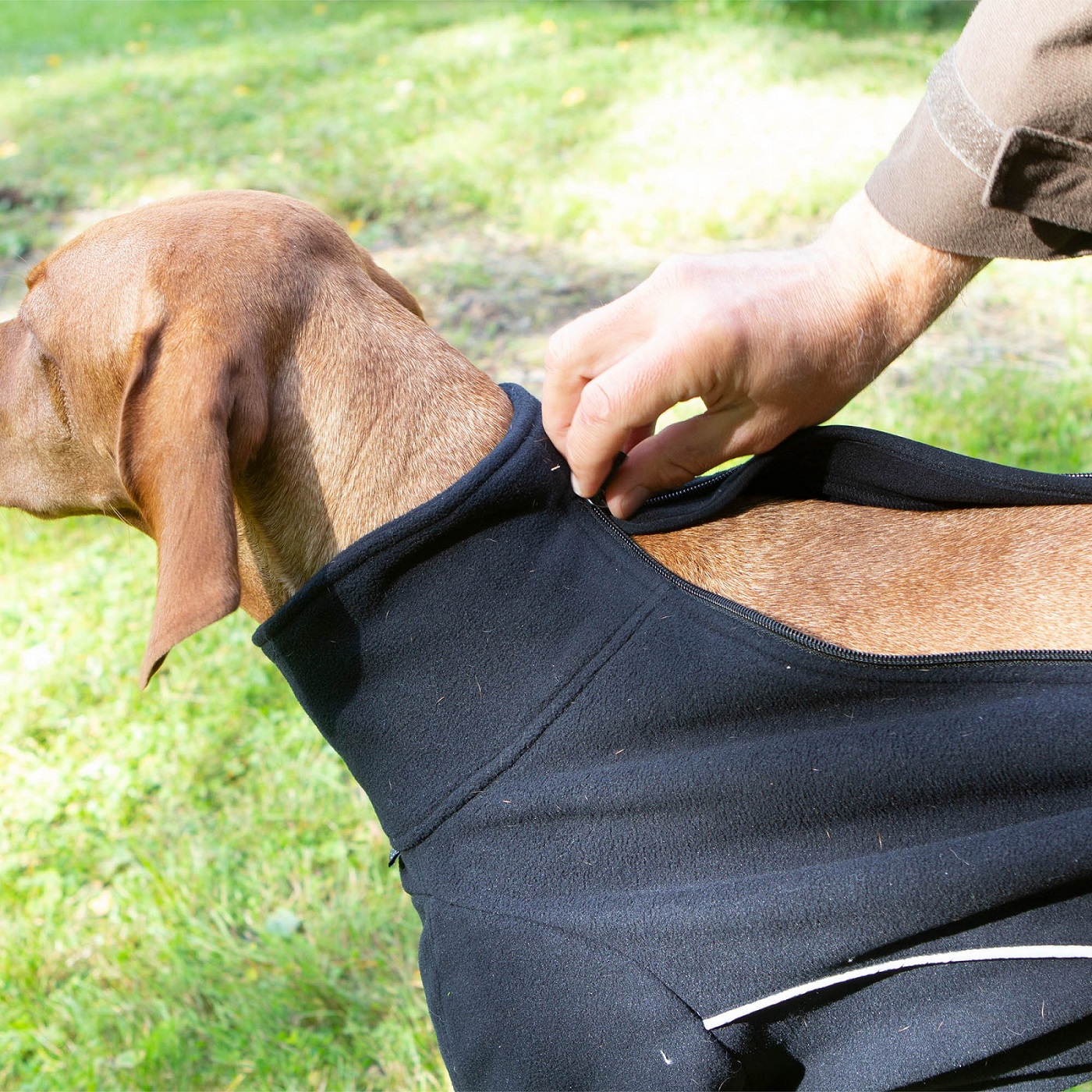 Back on Track Allwetter Hundepullover Cassie, schwarz, Fleece