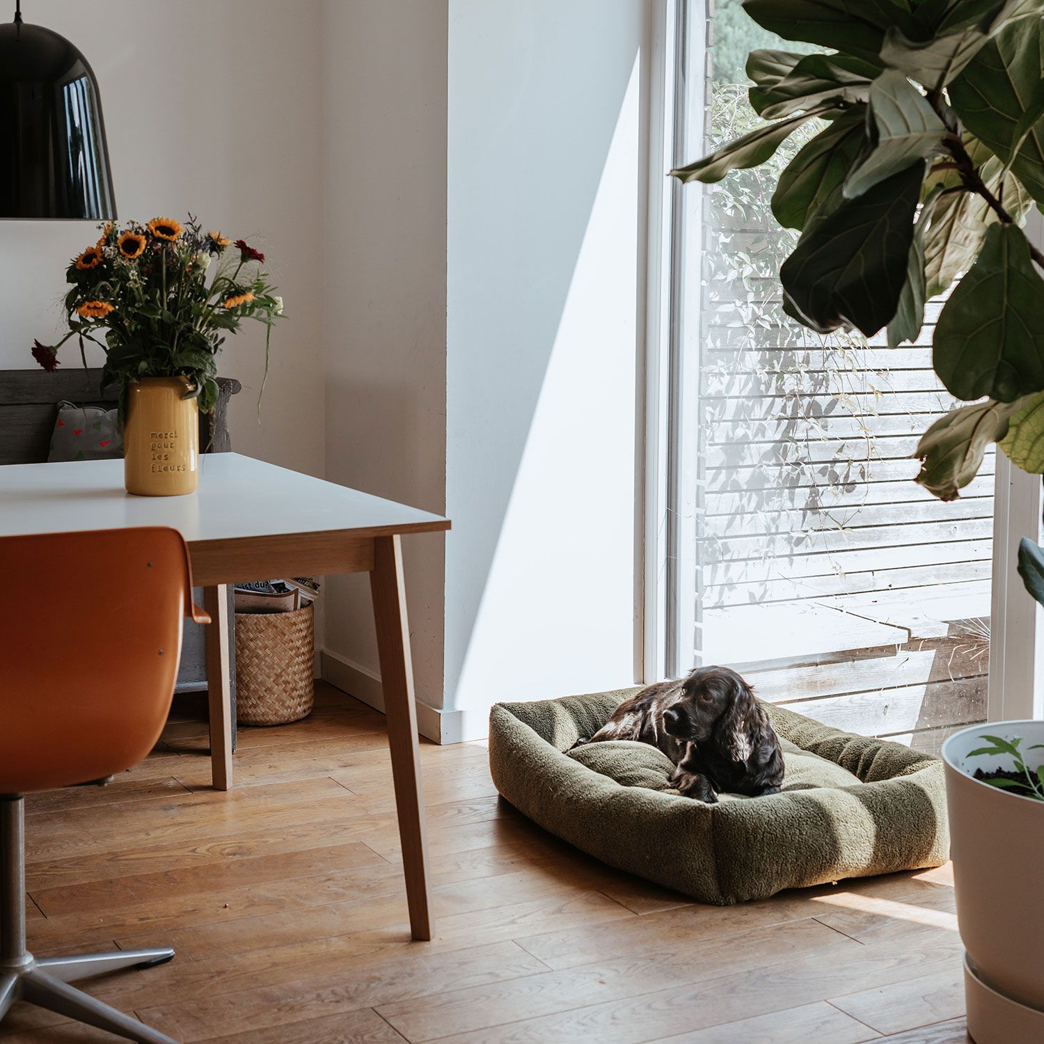 Hunter Hundesofa Kumara