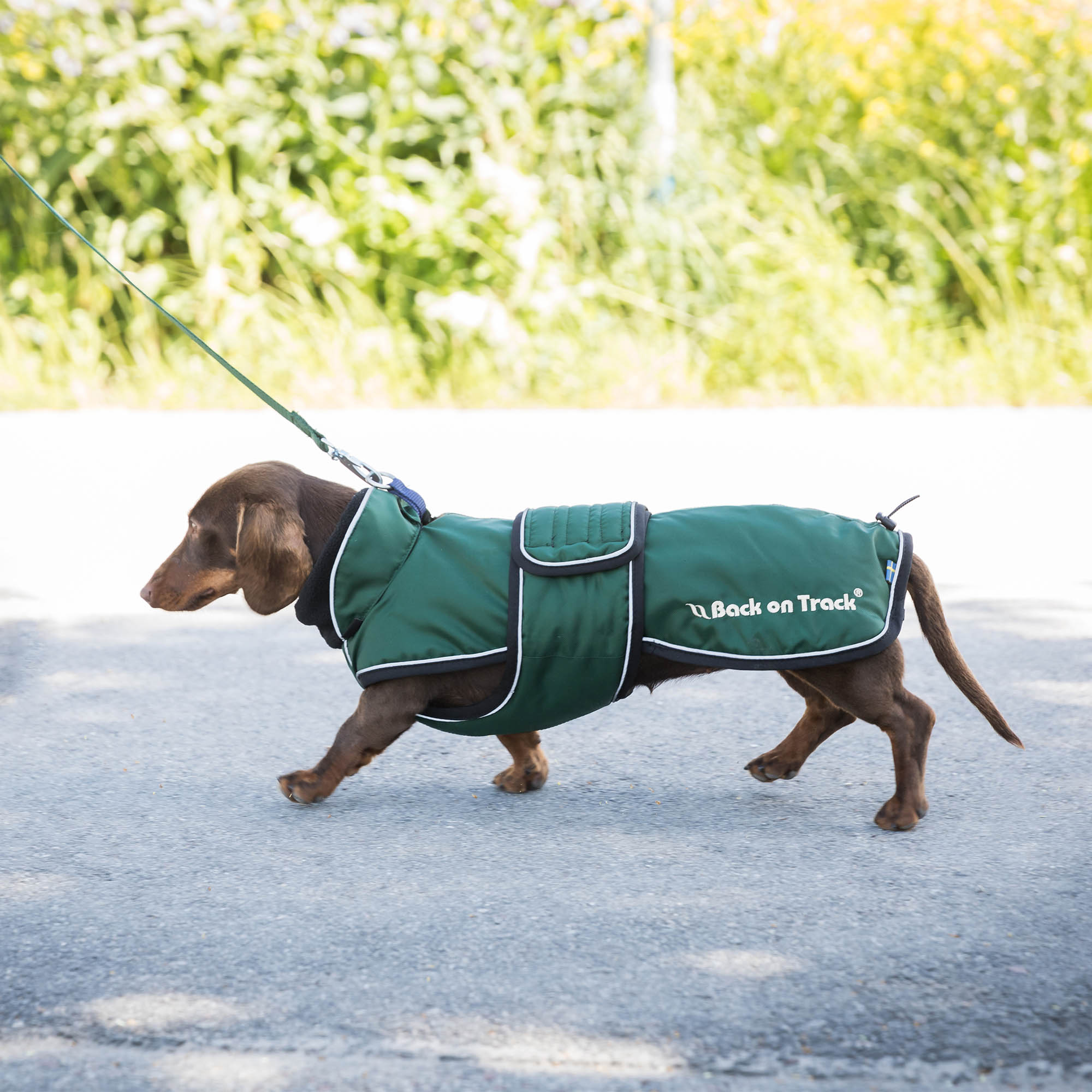 Back on Track Buddy Hundemantel