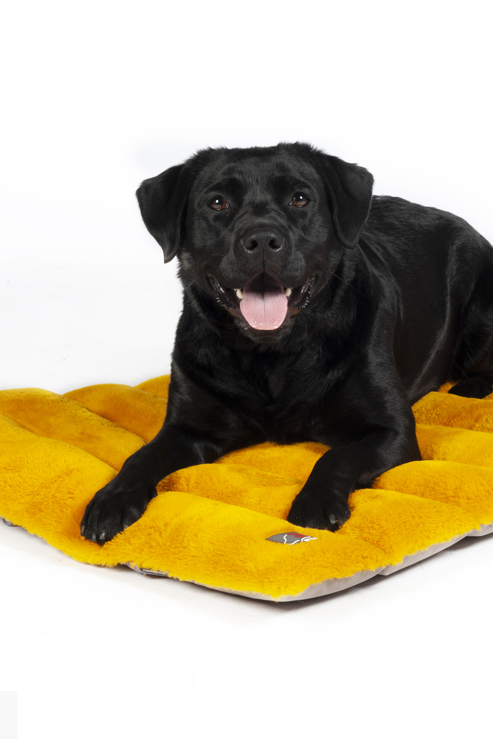 HKM Hundedecke "Anam Cara Travel"
