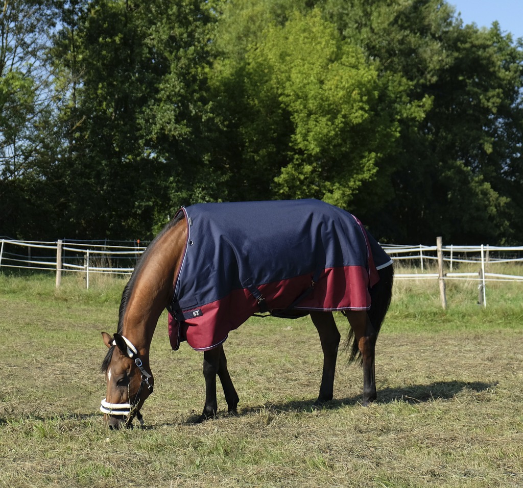 EQUITHÈME "TYREX 1200D" Decke, 450g Füllung, marineblau/bordeaux, Weidedecke, Pferdedecke