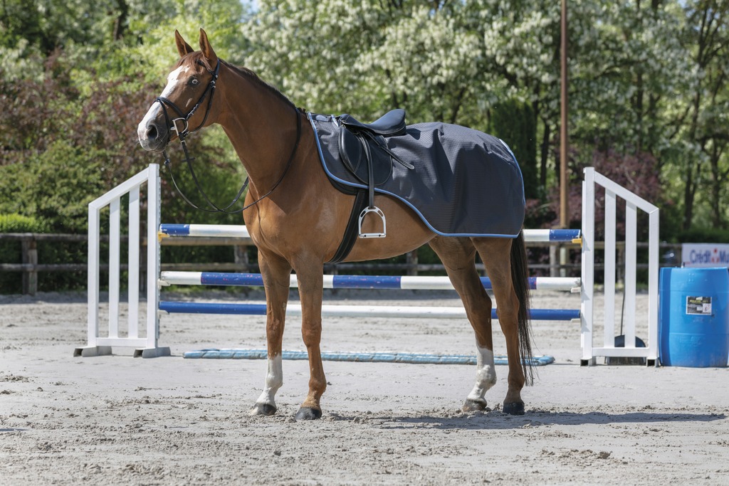 EQUITHÈME "TYREX 1200D", 8000/8000 Nierendecke, grau/blau, anti-pilling Polarfleece, Ausreitdecke