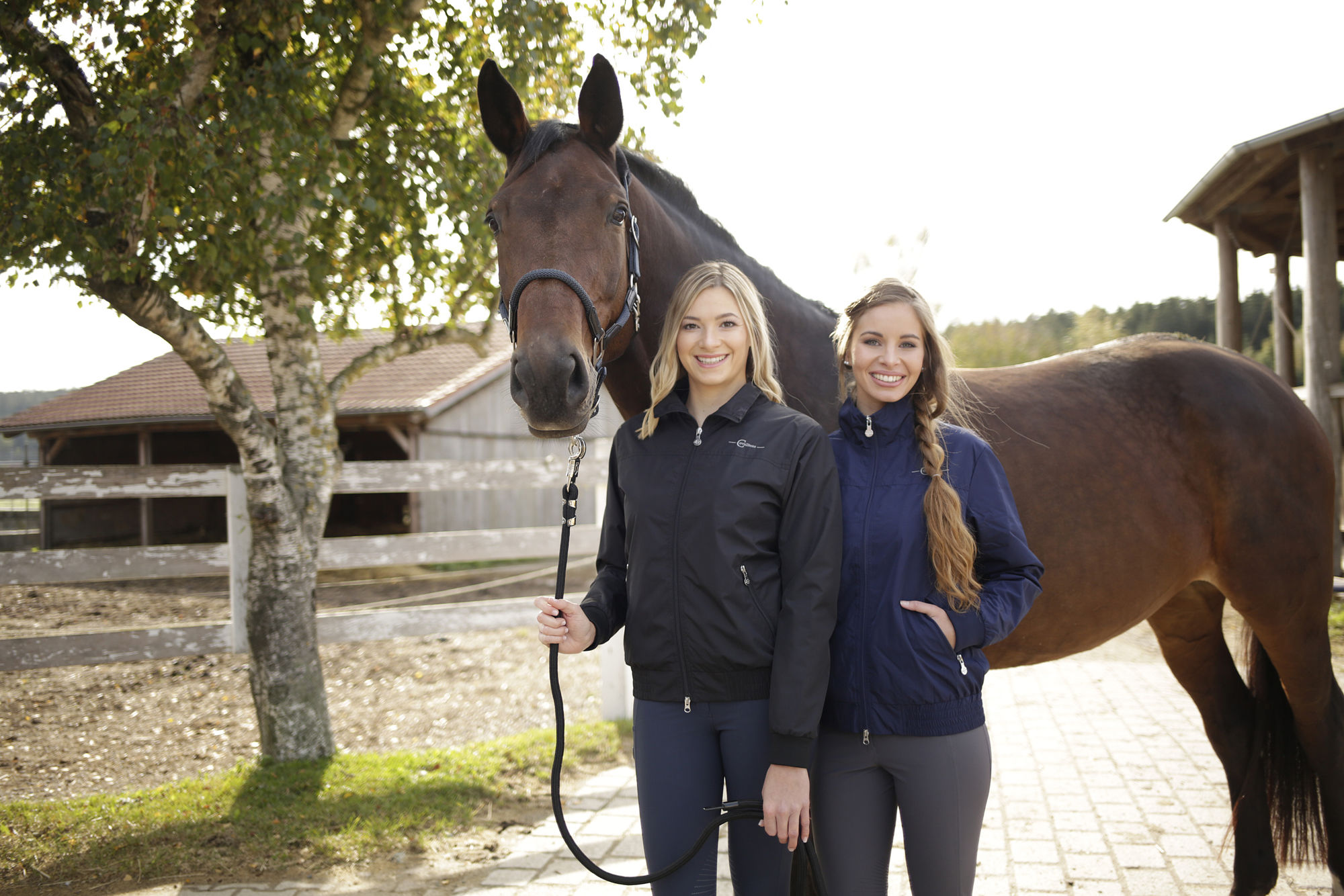 Covalliero Blousonjacke, Damen, Reitjacke