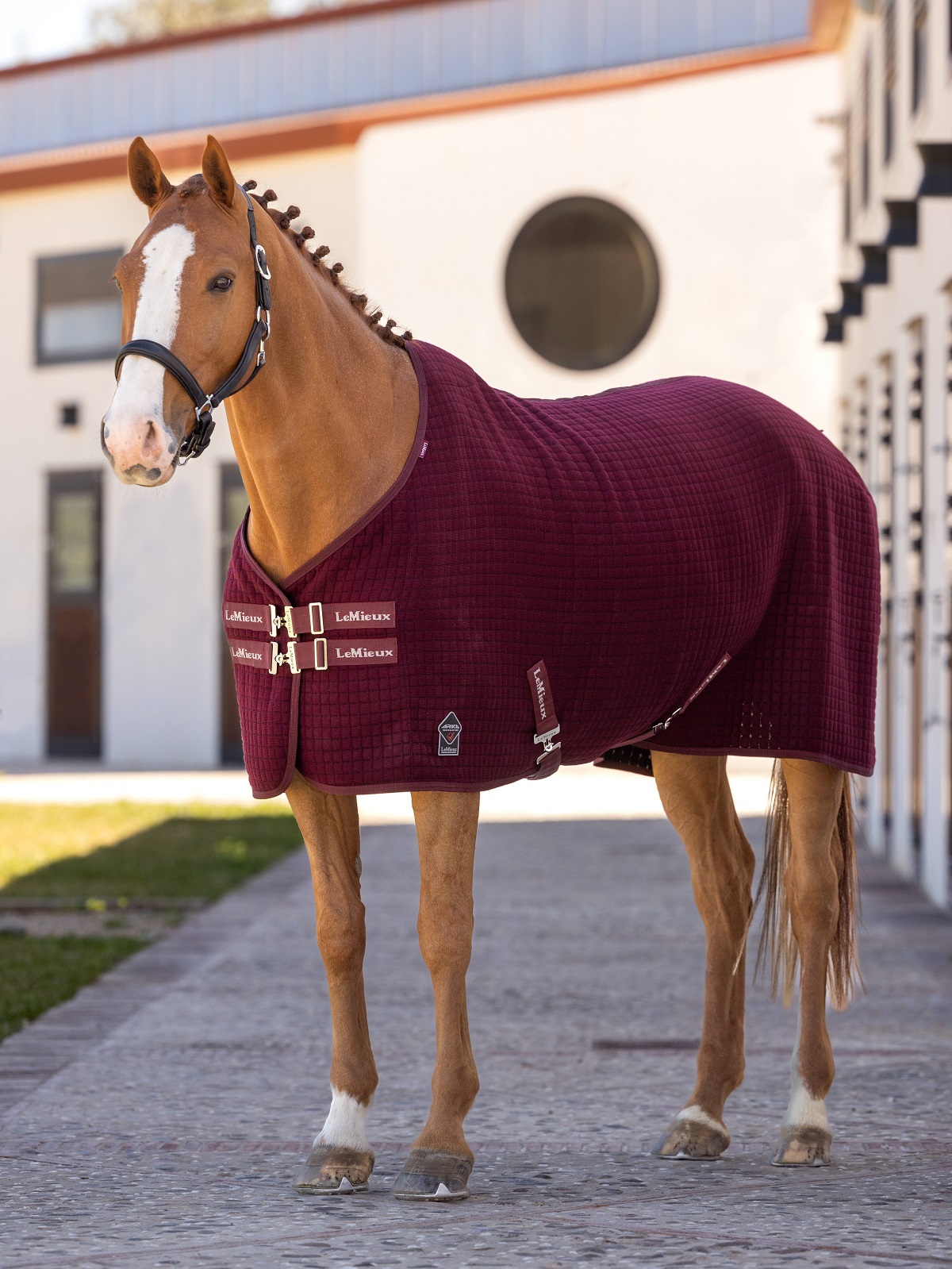 LeMieux Arika Clima-Tek Rug, Abschwitzdecke