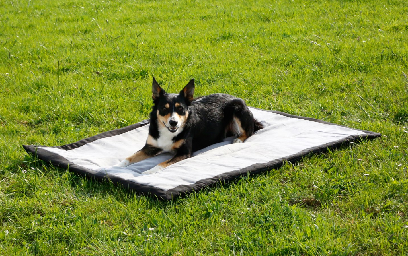 Kerbl Hundematte Trip ,grau/schwarz