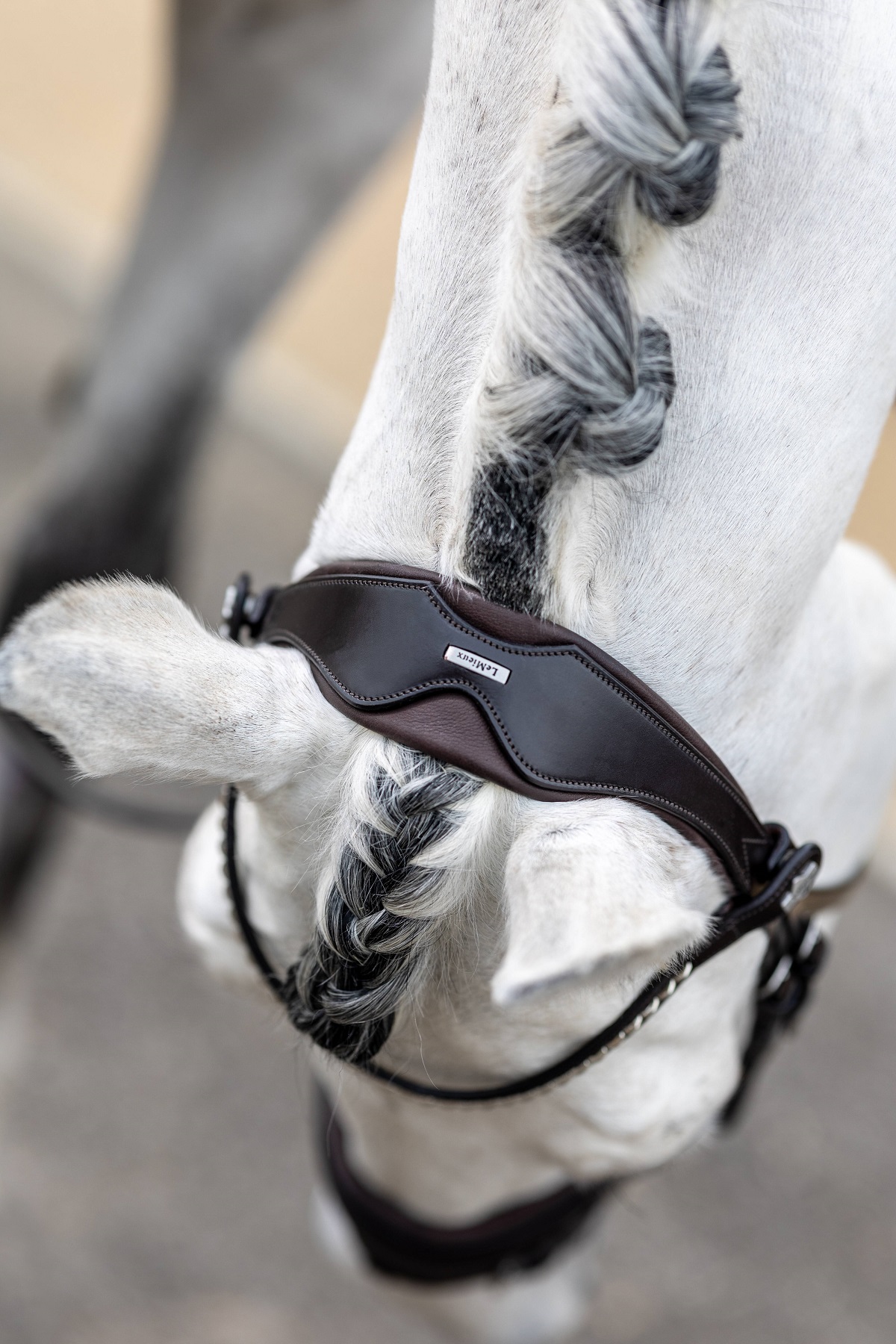 LeMieux Kudos Classic Dressage Bridle, Dressurtrense, Trense
