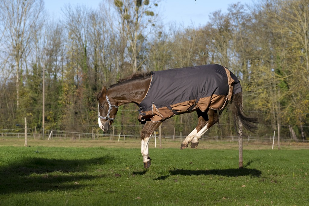 EQUITHÈME TYREX 600D "Aisance" Decke, 300g Füllung, Pferdedecke, grau/braun, Weidedecke