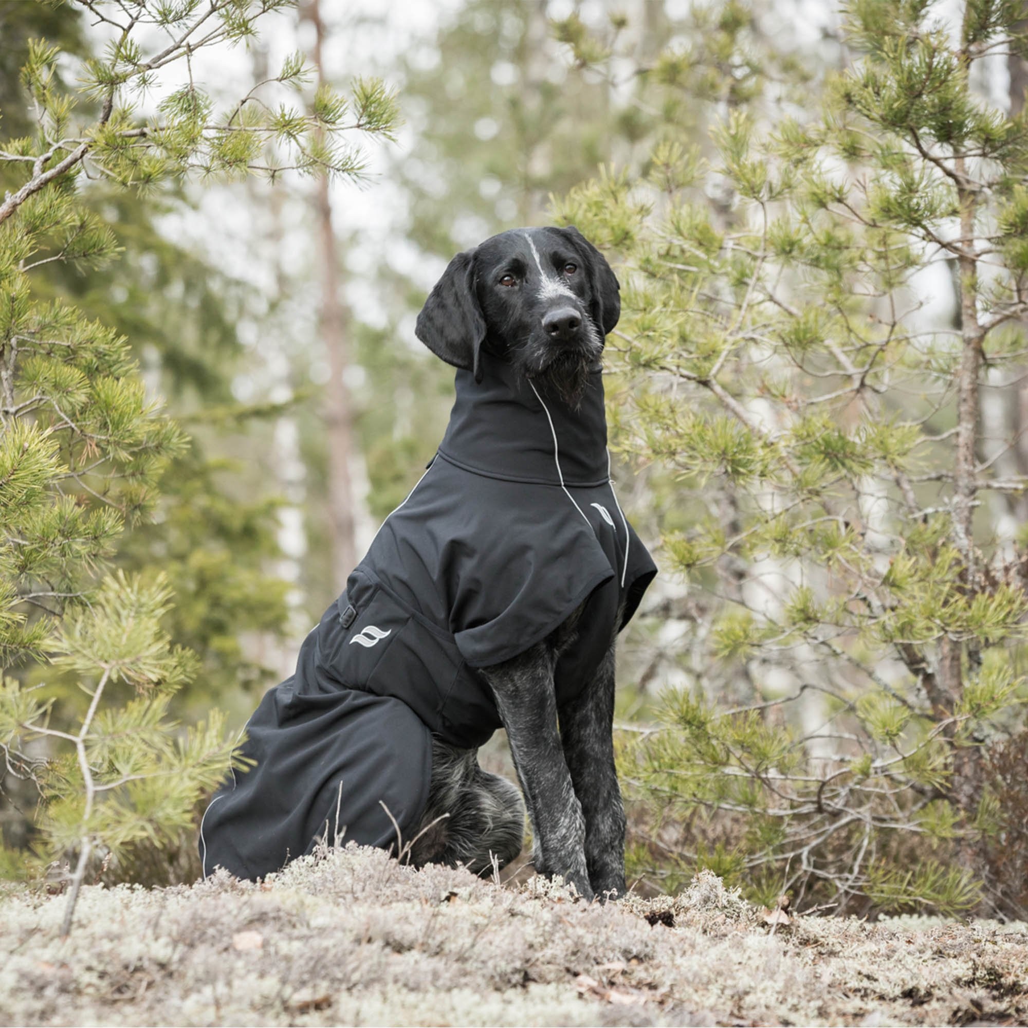 Back on Track Hundemantel Nella, schwarz