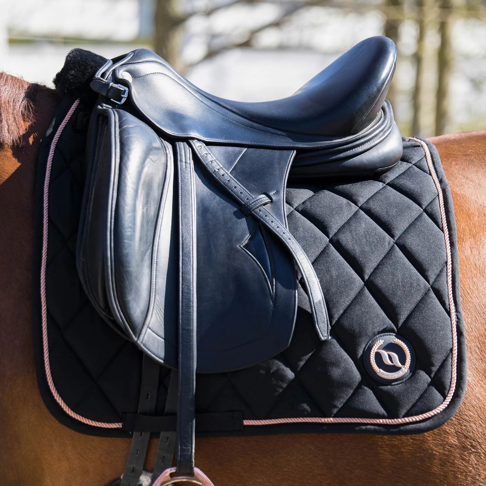 Back on Track Haze Collection Schabracke, Dressur, schwarz/roségold