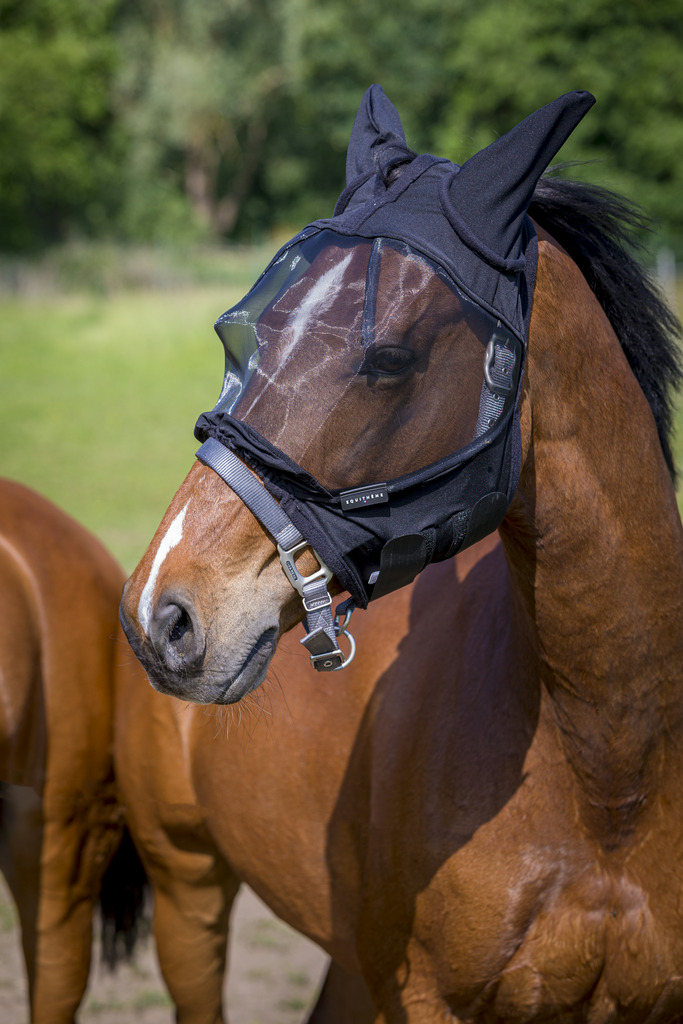 EQUITHÈME "Coux" Antifliegenmaske